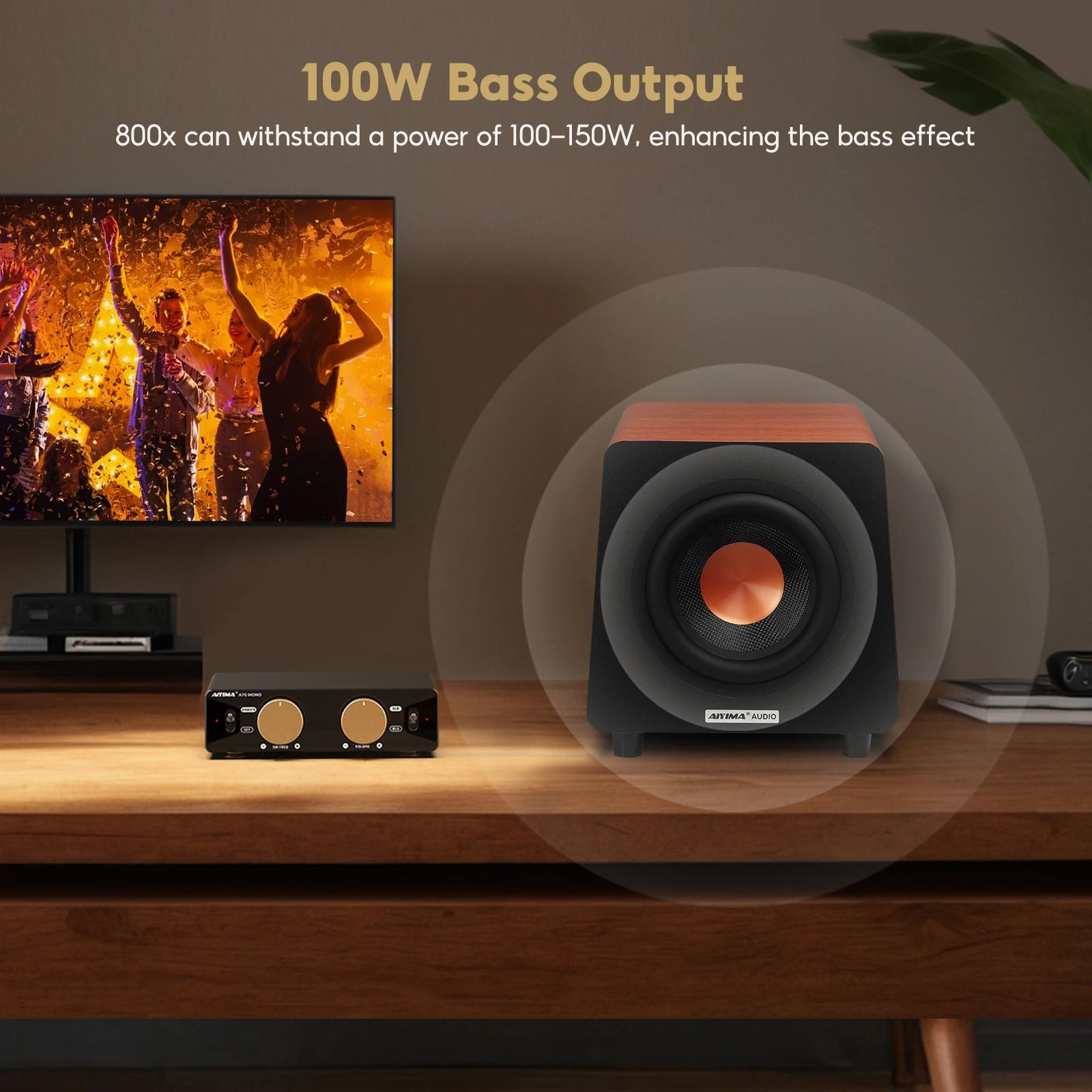 AIYIMA 800X 8 Inch 150W Active Subwoofer with RCA AUX LFE Inputs