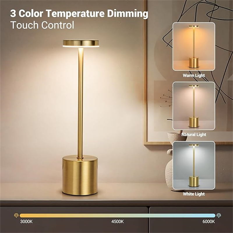 Stepless Dimming USB Rechargeable Night Light, Touch Desk Lamp for Bedside, Hotel, and Bar Use
