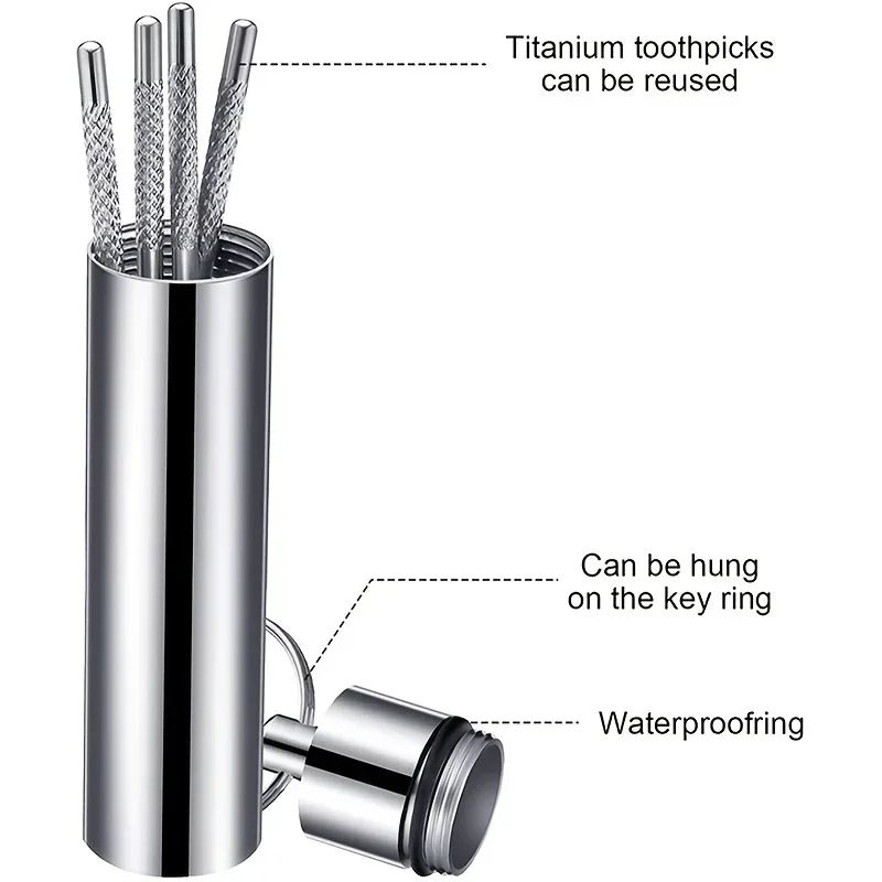 Stainless Steel Reusable Toothpick Set