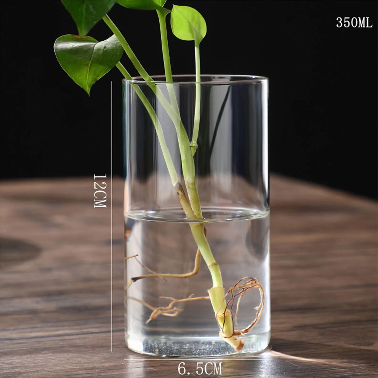 Desktop Glass Planter and Transparent Cylinder Vase