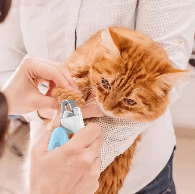 PawTrim Pro Stainless Steel Pet Nail Clippers for Cats & Small Dogs