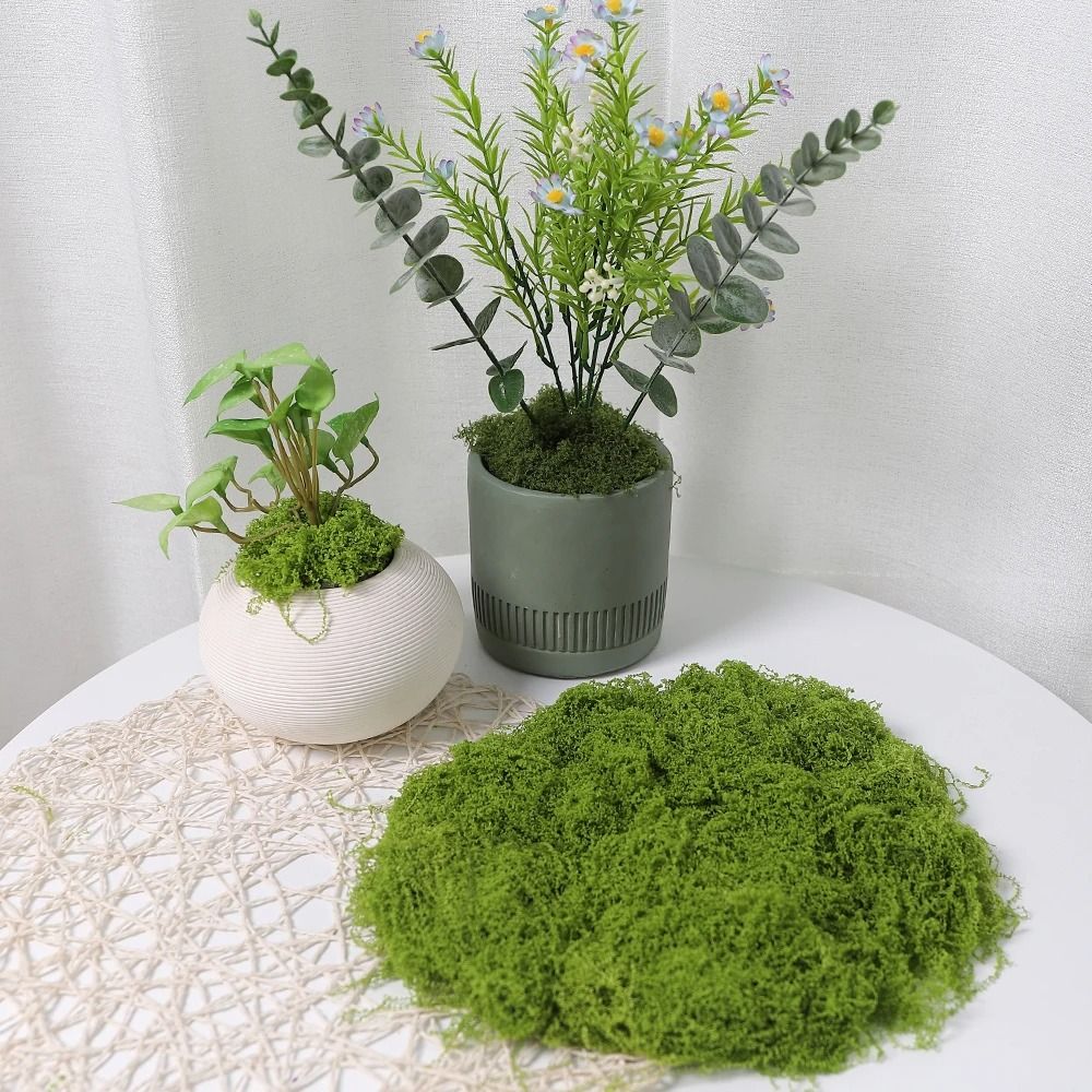 Artificial Moss Decor Faux Preserved Green Moss for DIY Crafts and Home Styling