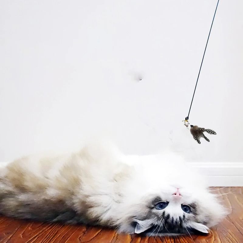 Cat Teaser Wand With Bell Feather And Suction Cup Long Interactive Stick