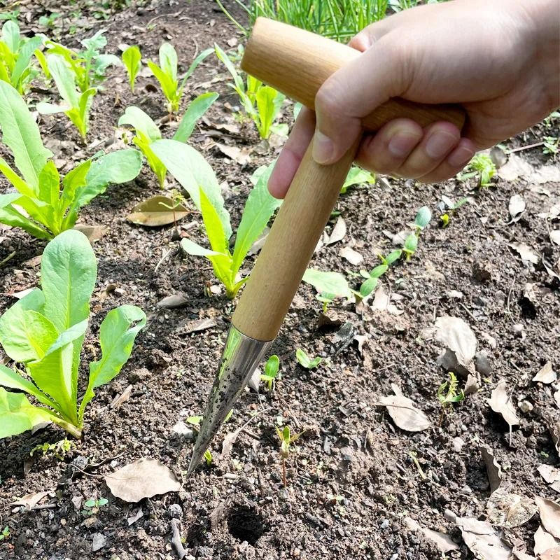 Heavy-Duty Stainless Steel T-Handle Garden Dibber and Seed Hole Puncher