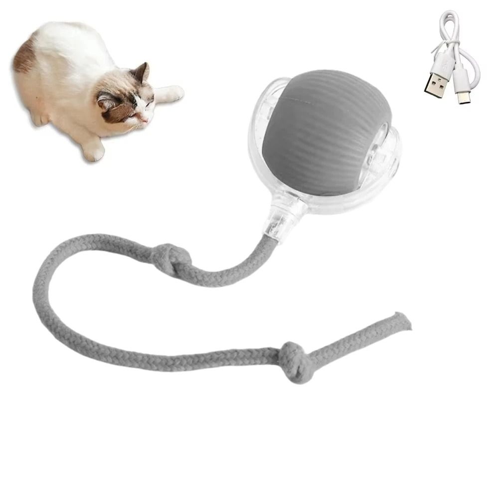 Automatic Rolling Ball Pet Toy Charging Smart Cat Dog Chase Toy