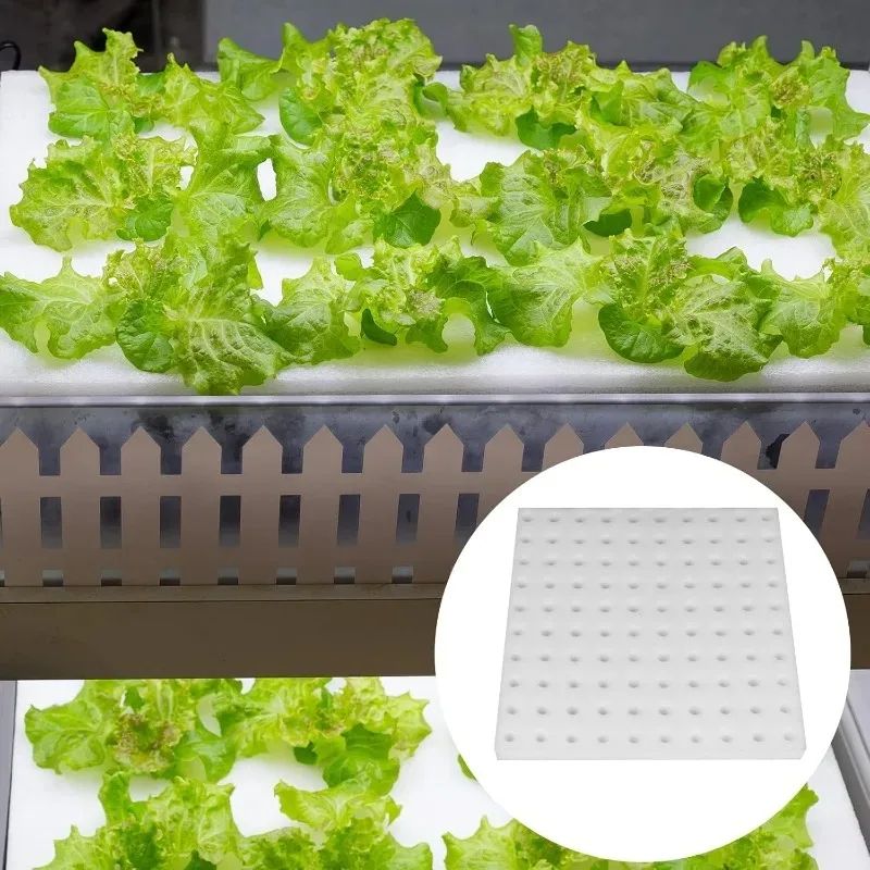 Hydroponic Plant Growing Sponge Set