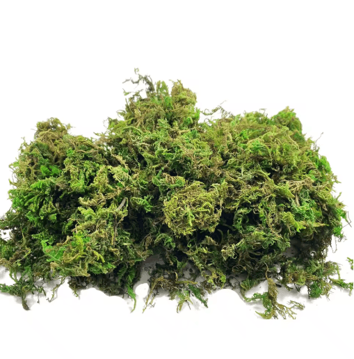 Artificial Craft Moss Realistic Fake Moss for Plant Decor & DIY Centerpieces