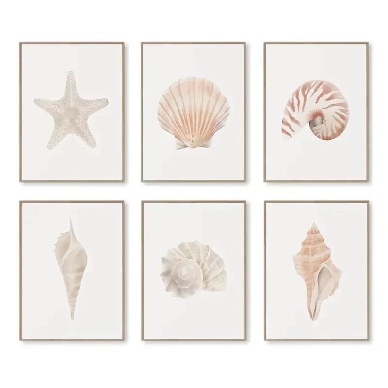 Coastal Seashell Wall Art Canvas Set Ocean Inspired Prints