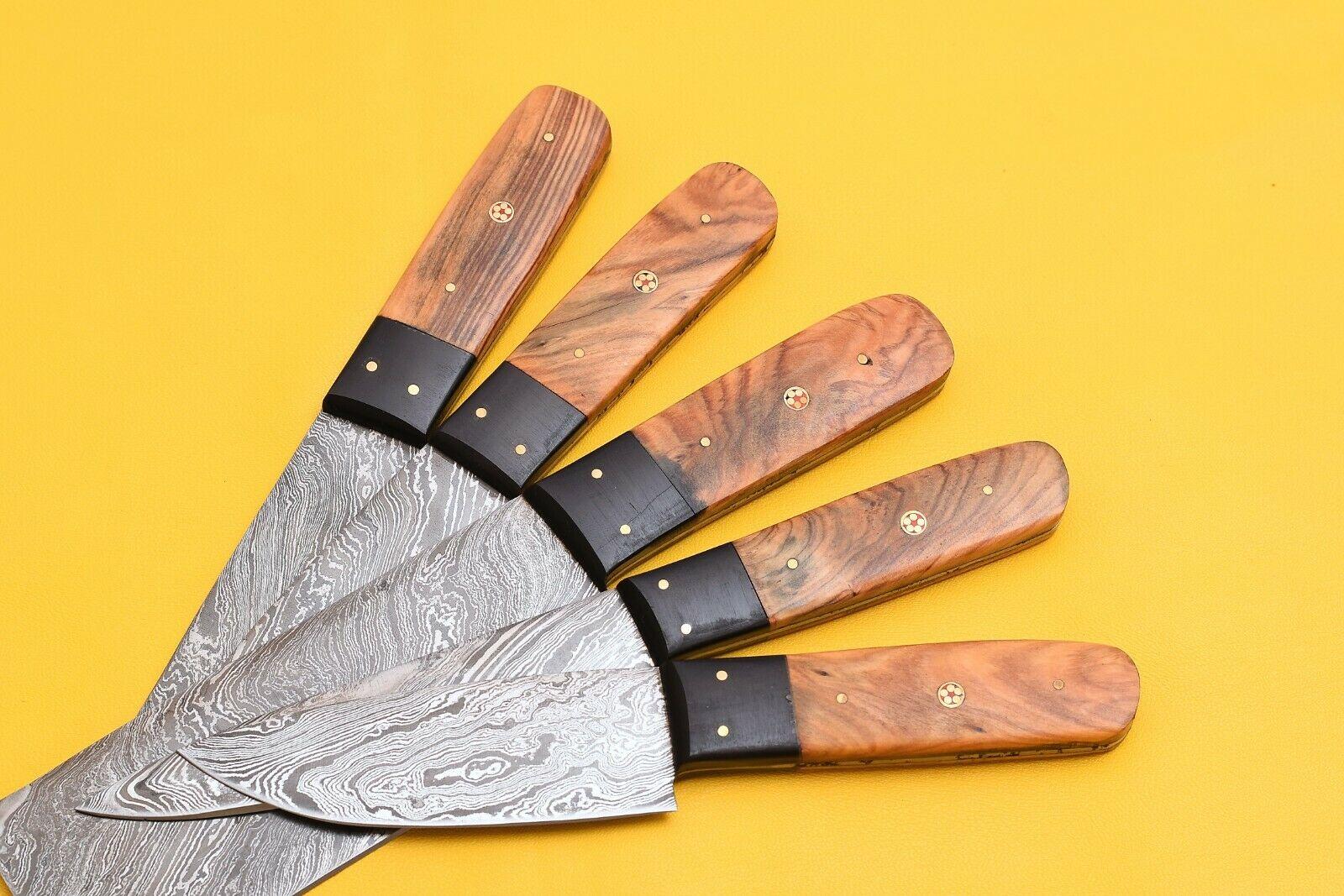 5-Piece Damascus Steel Kitchen Chef Knives with Popular Handles