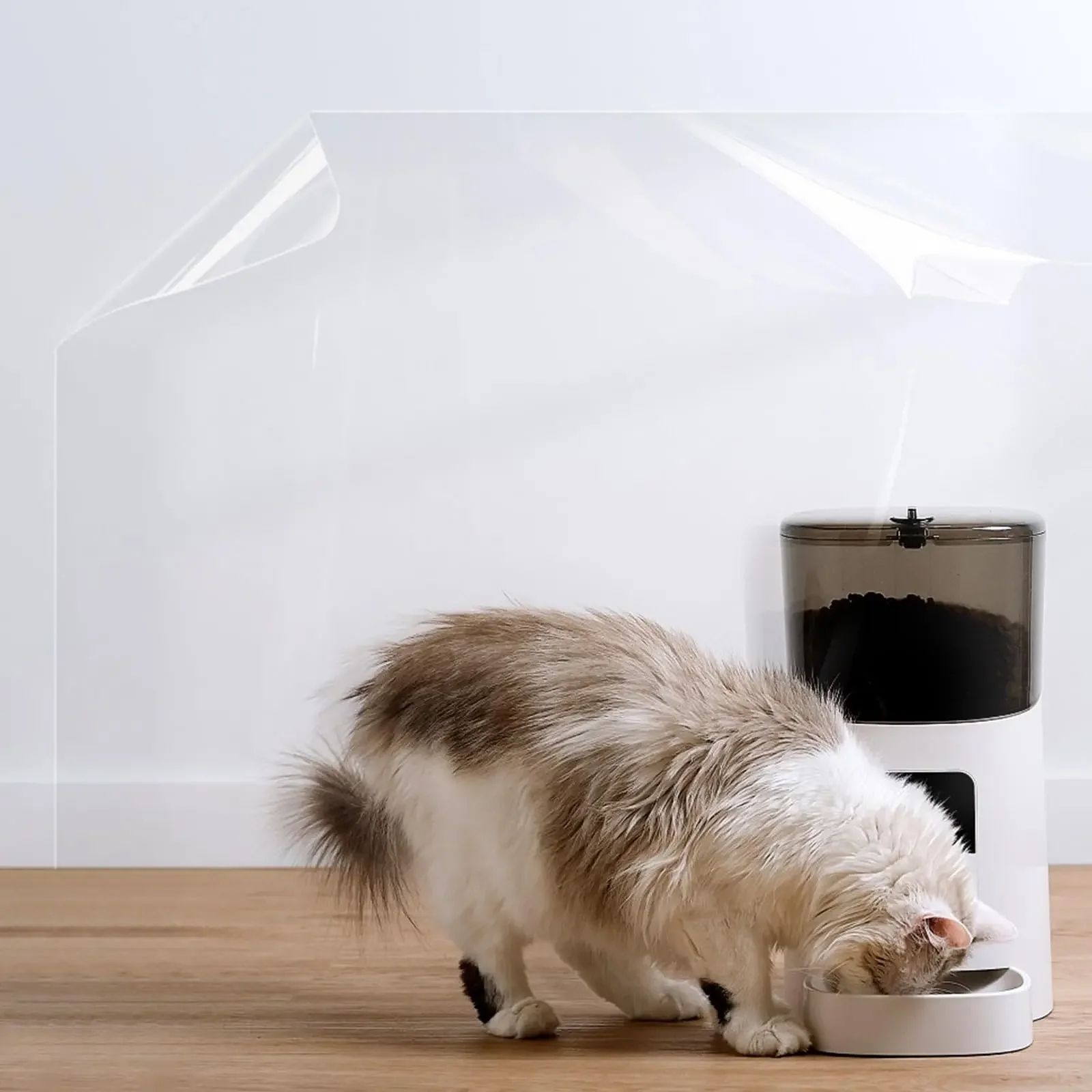 Transparent Electrostatic Wall Protective Film