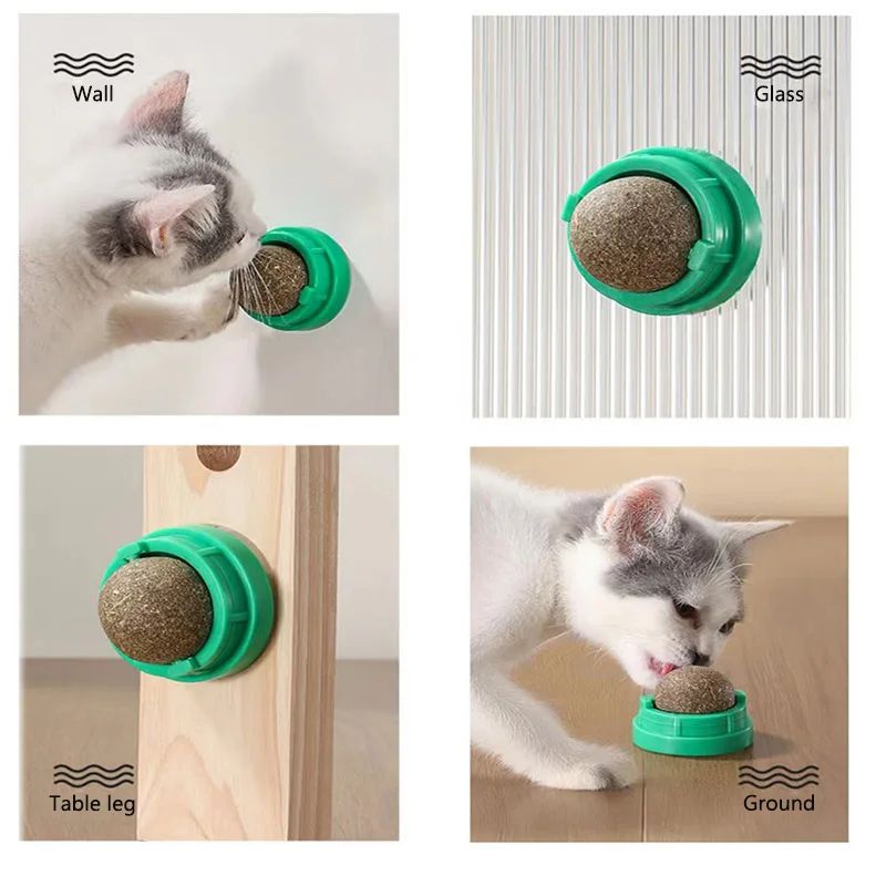 Wall-Mounted Catnip Ball Toy – Natural Cat Grass Treat & Self-Grooming Scratcher