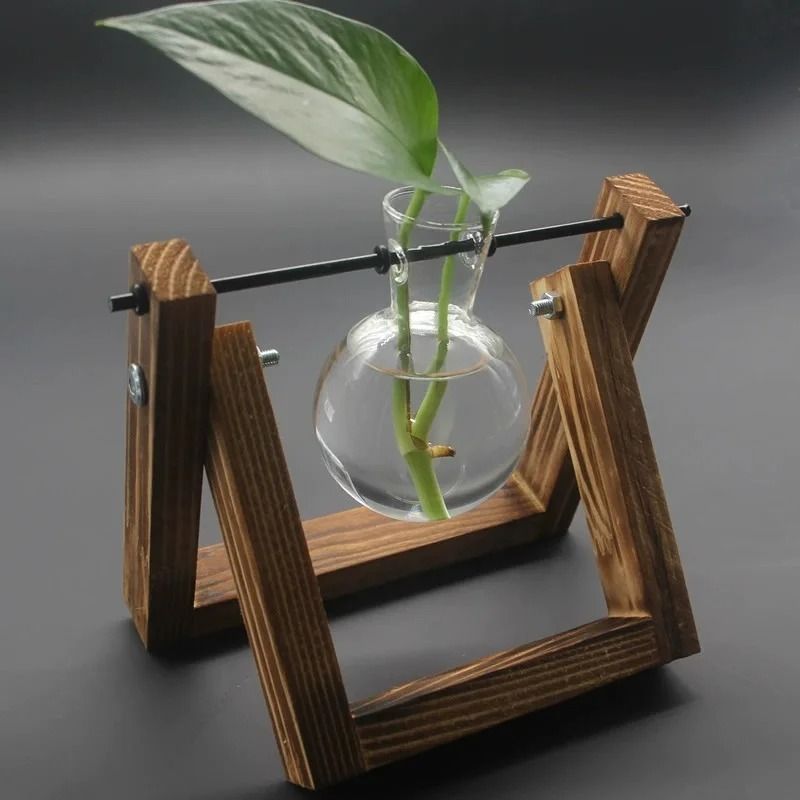 Hydroponic Plant Vase with Wooden Stand