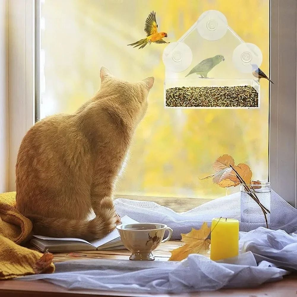 Clear View Window Bird Feeder