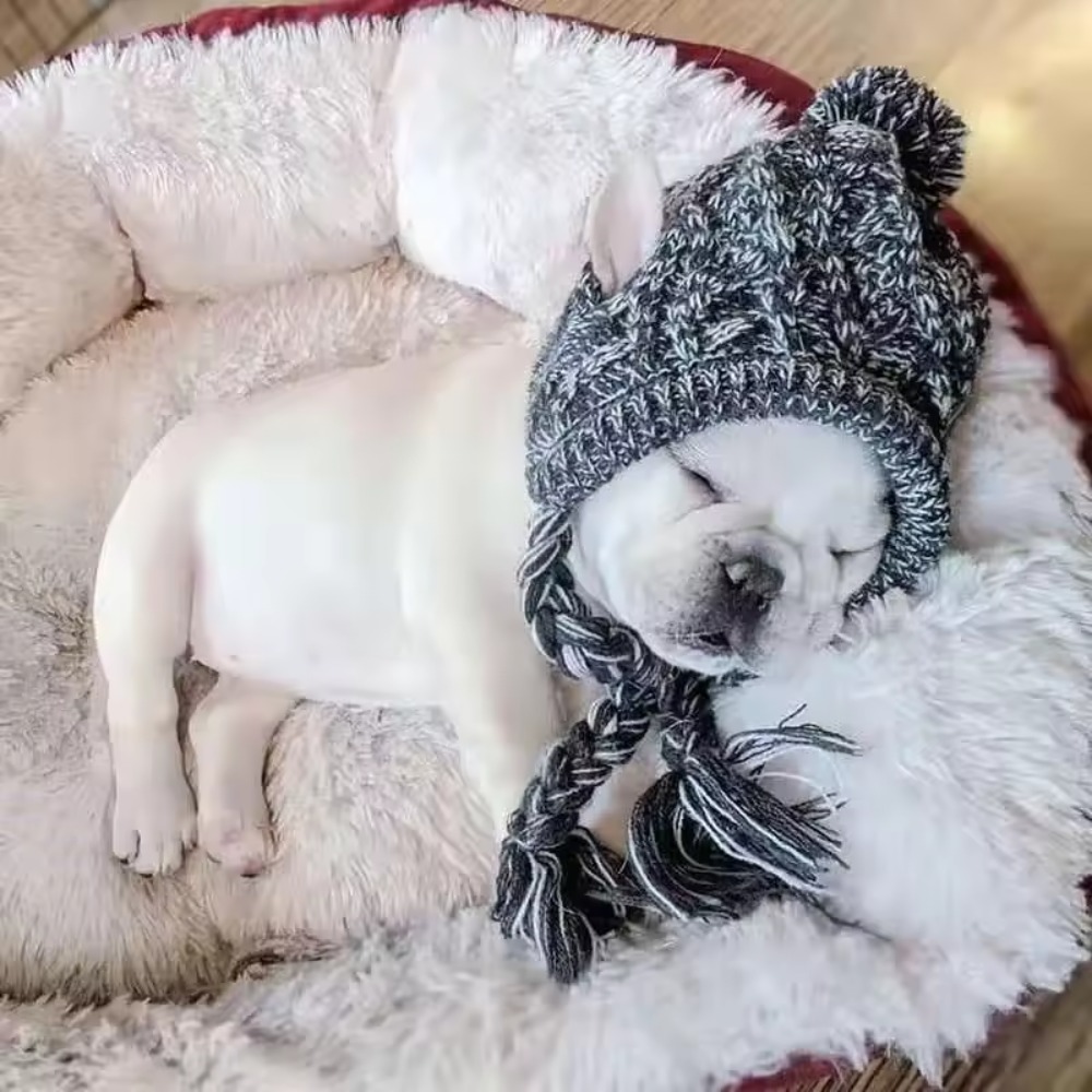Windproof Pet Hat, Knitted French Bulldog Hat, Outdoor Snow Hat, Chihuahua Hat, Plush Ball Pet Hat Wool Knitted