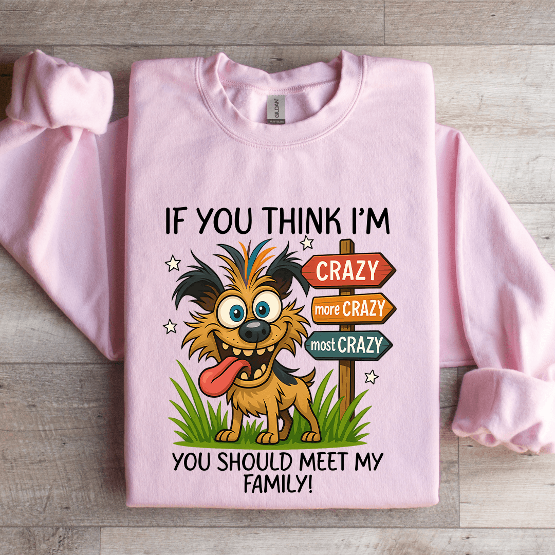 If You Think I'm Crazy Sweatshirt