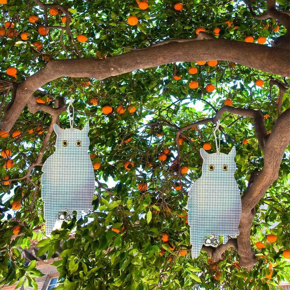 Scarecrow Owl Decoy, Reflective Bird Repellent, Pigeon & Squirrel Deterrent Device for Garden, Balcony & Outdoor Use