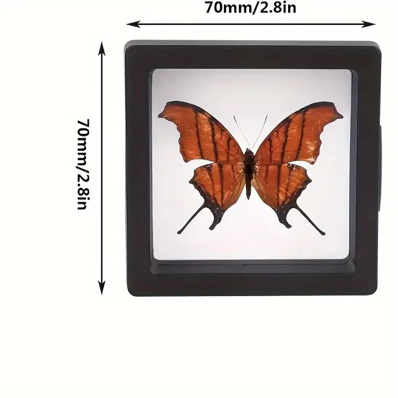 Clear 3D Floating Display Case Jewelry Organizer Set