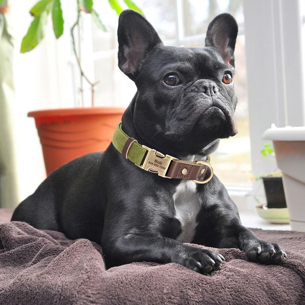 Custom Engraved PU Leather Dog Collar Adjustable ID Buckle