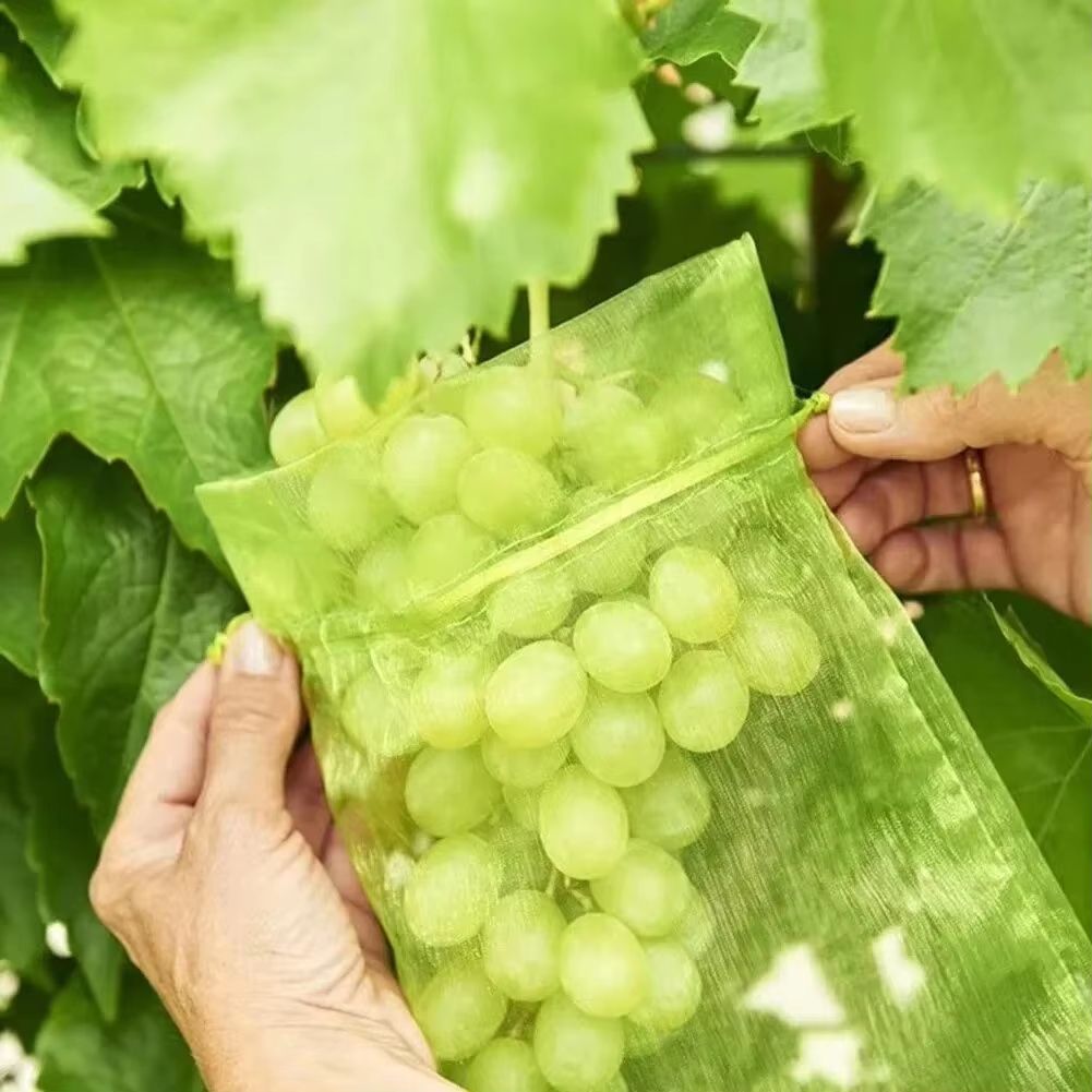 Fruit Protection Bags 50 Pack Reusable Garden Netting Bags for Birds and Insects