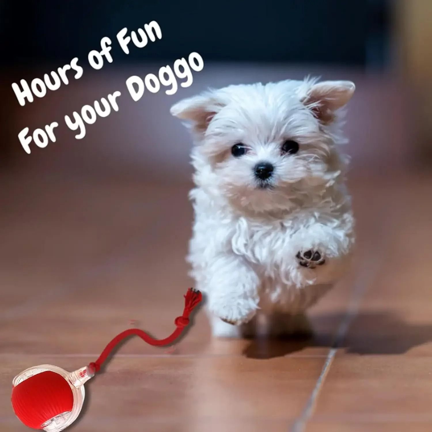 Automatic Rolling Ball Interactive Pet Toy for Cats and Small Dogs