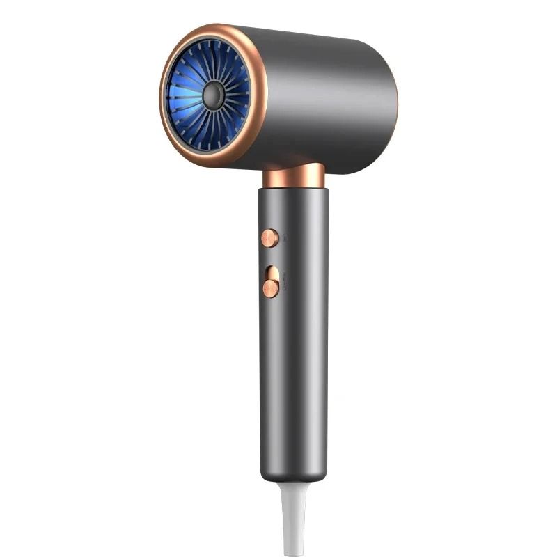 Premium 2000W Ionic Airflow Salon Dryer