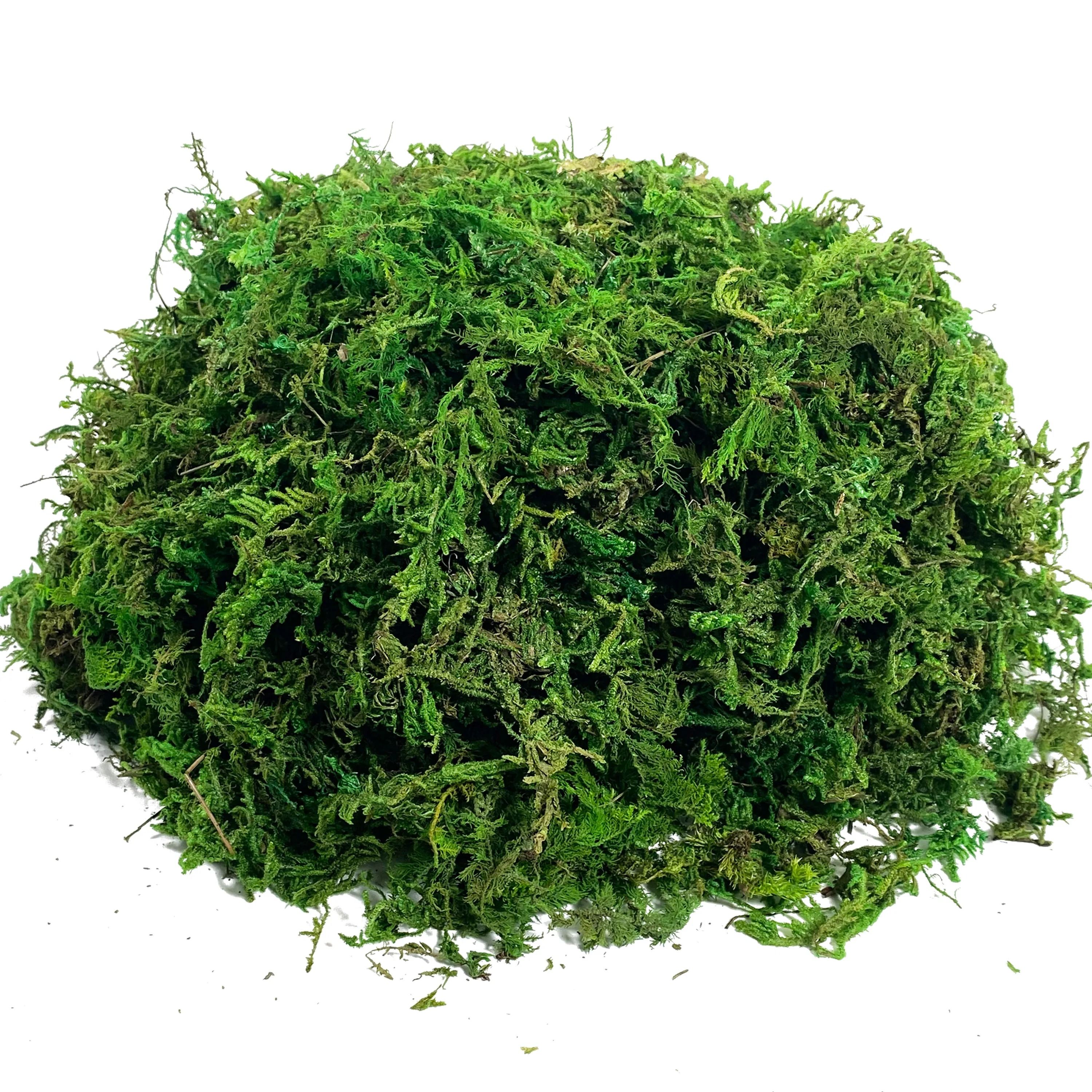 Artificial Moss Decor Natural Look Craft Moss for Plant and Centerpiece Styling
