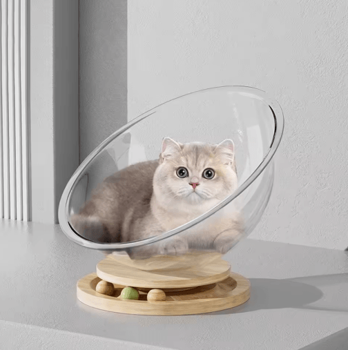 Clear Capsule Cat Bed Hammock – Removable All-Season Cozy Nest