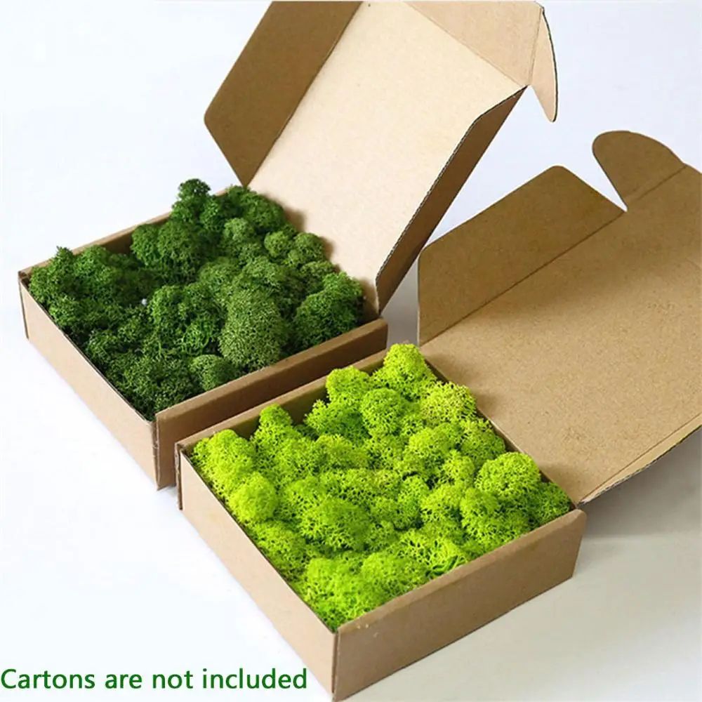 Artificial Moss Garden Decor Eternal Greenery for DIY and Home Styling