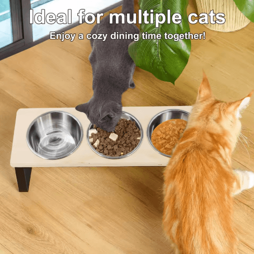 Elevated Cat Bowls Feeder with 15° Tilt & 3 Stainless Steel Bowls