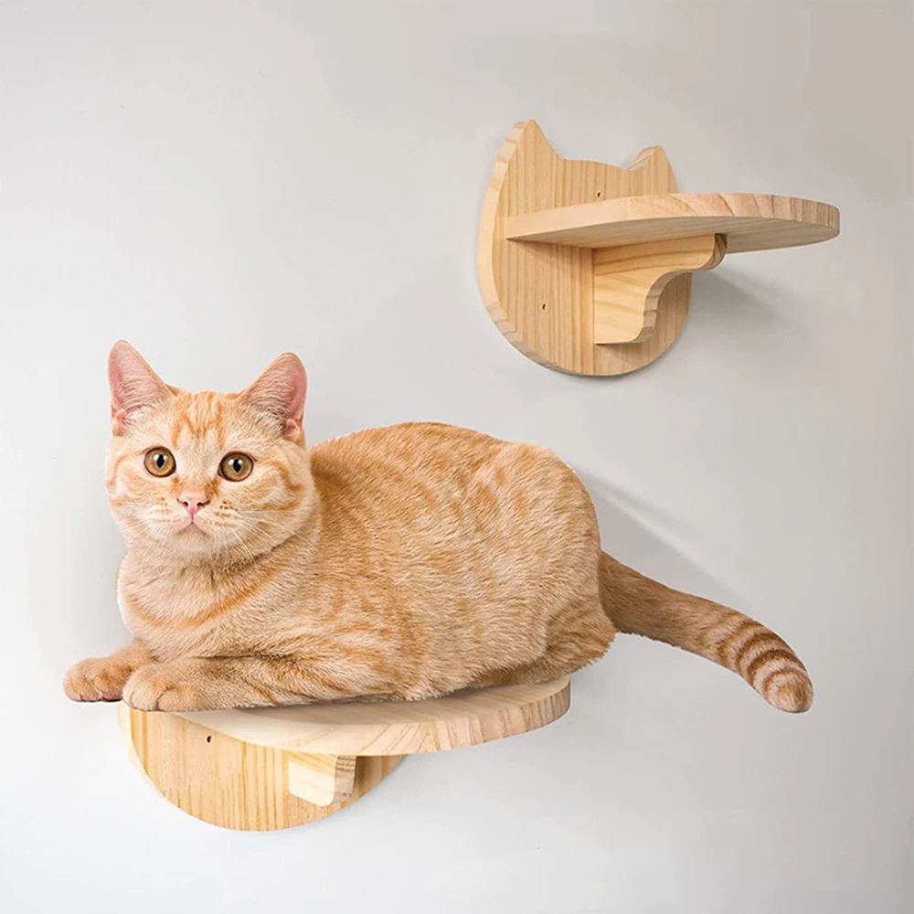 Wall Mounted Cat Climbing Ladder with Hammock
