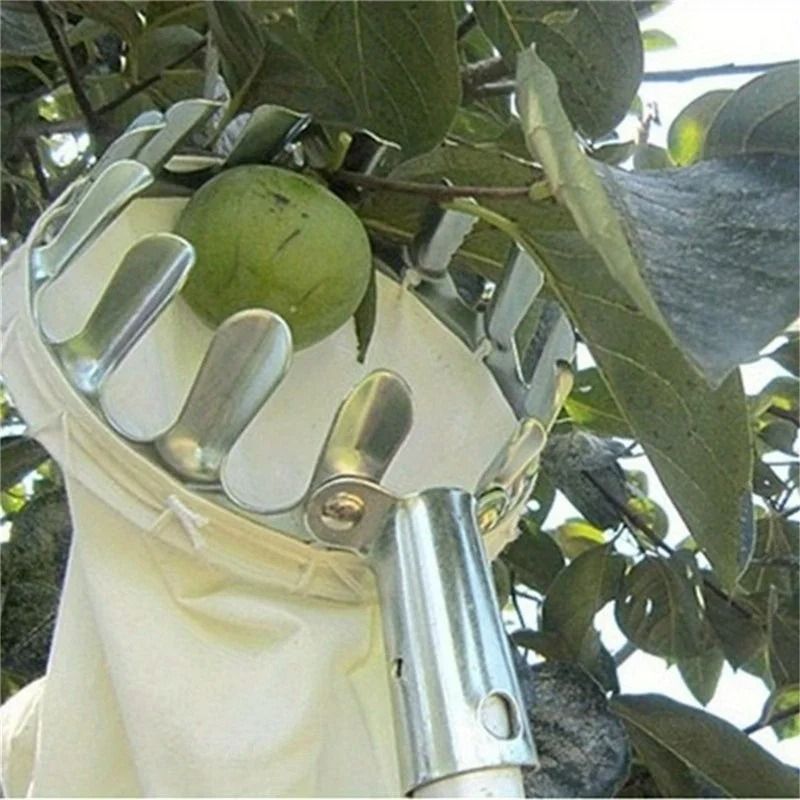 Convenient High Altitude Fruit Picker Device
