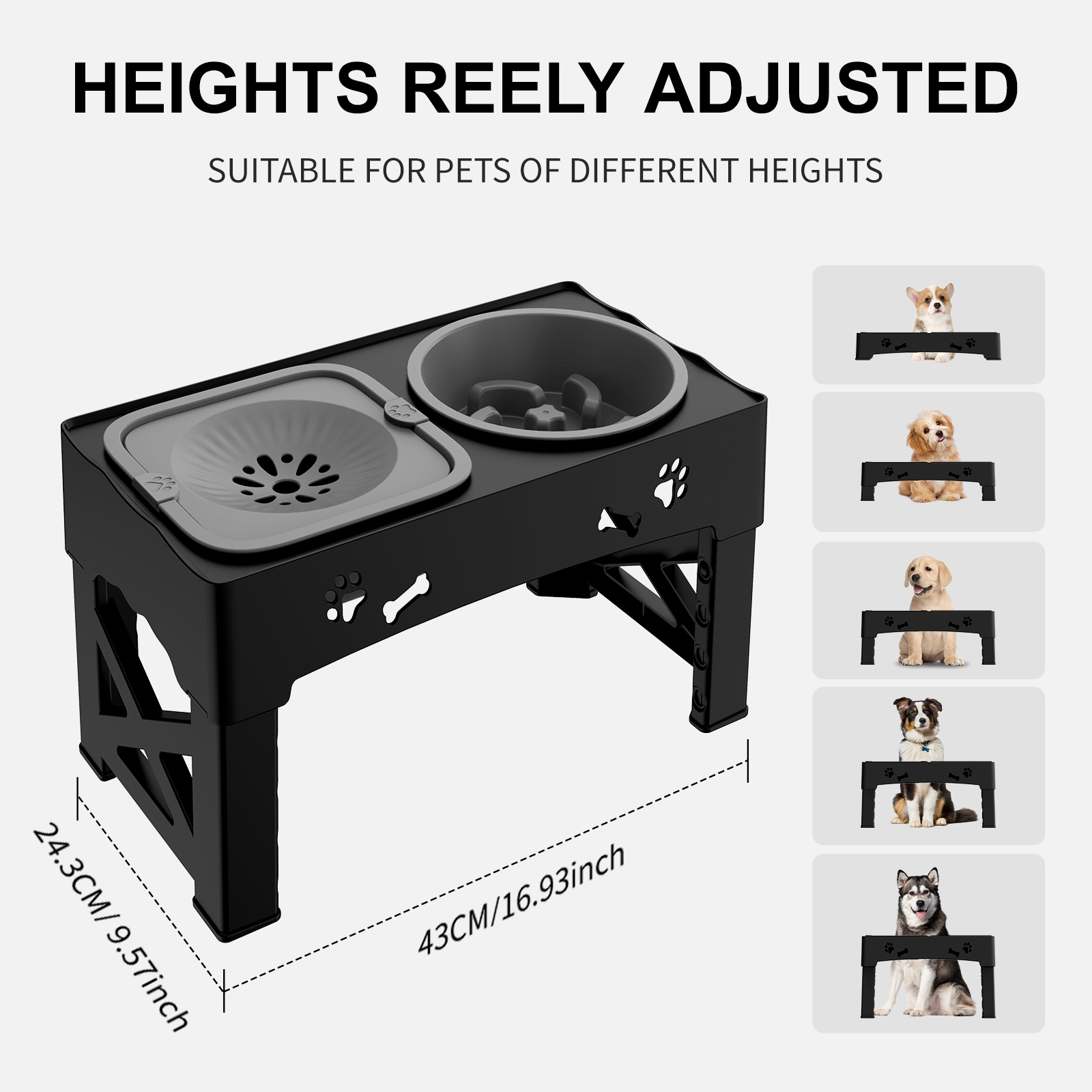 Adjustable Height Pet Feeder Slow Feed Double Bowl for Cats & Dogs