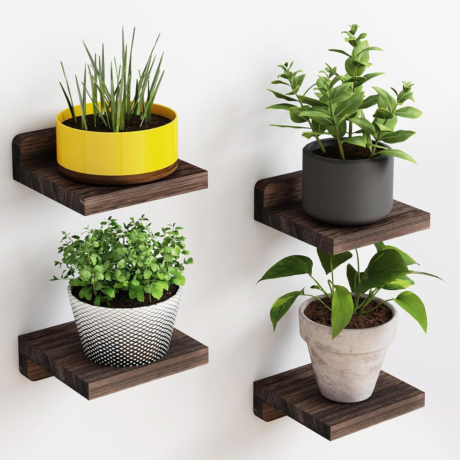 Wood Floating Shelves for Wall, Mini Display Ledges, Room Decor with Multiple Installation Types