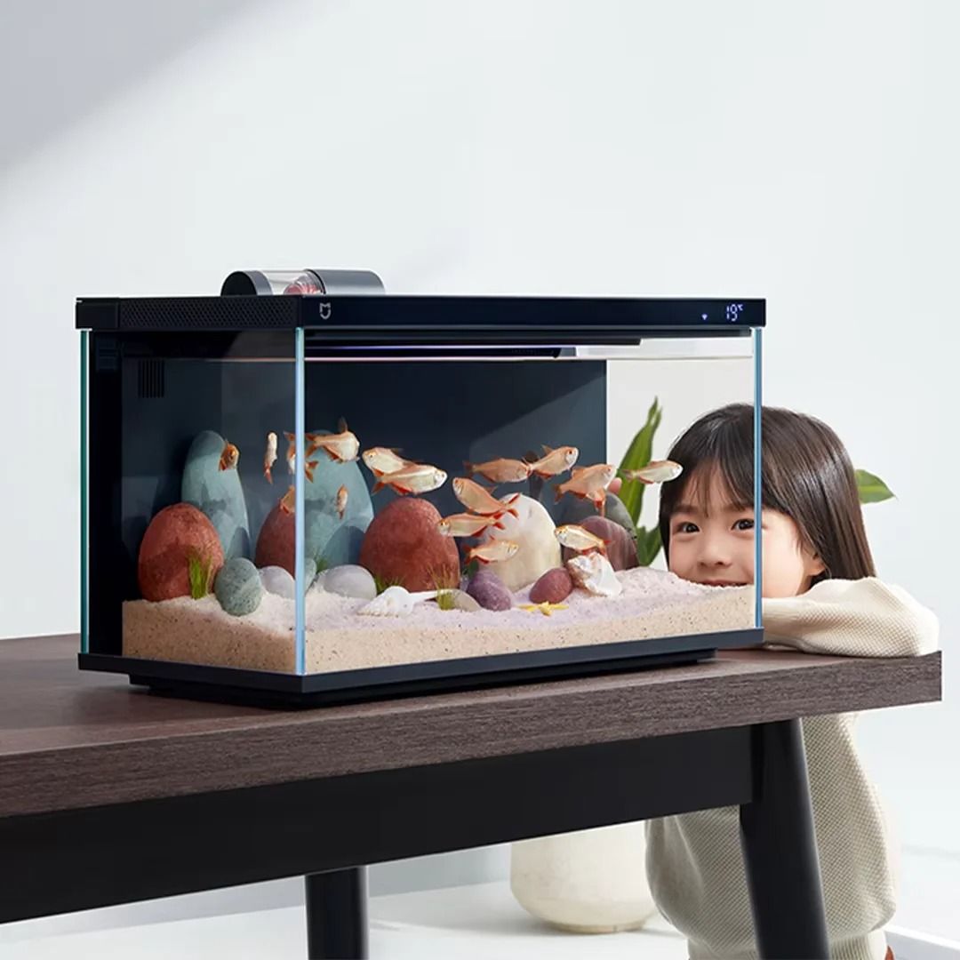 Smart Fish Tank with Remote Control Feeding and Lighting System