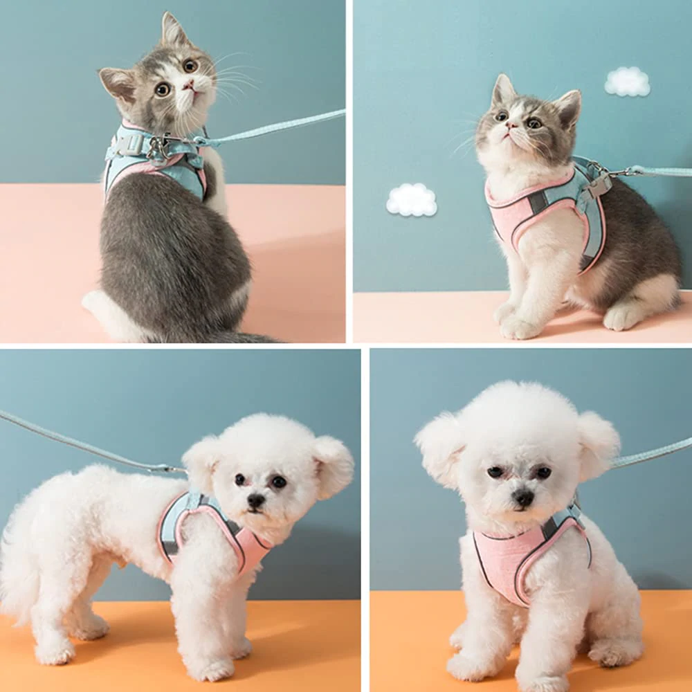 Cat Luminous Harness & Leash Set