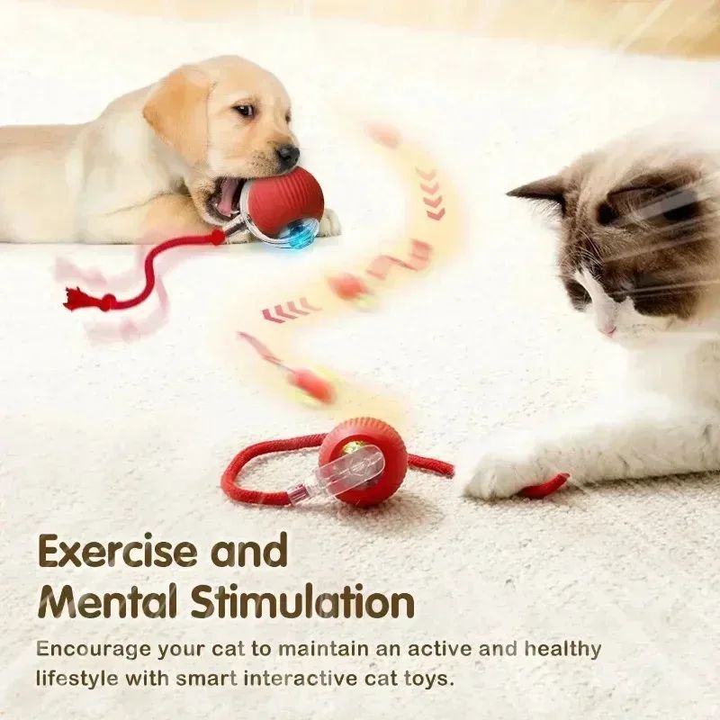 Smart Rolling Cat Ball with Tail Rechargeable Interactive Cat Toy