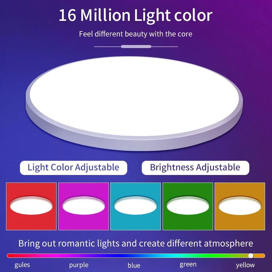 Smart WiFi LED Ceiling Light with App and Voice Control