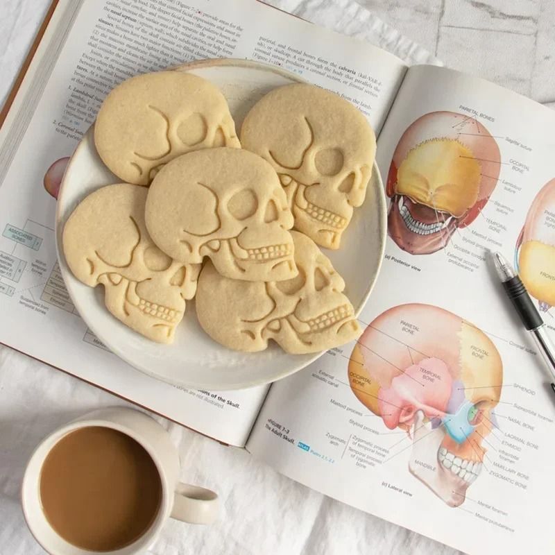 Halloween Skull Brain Organs Cookie Cutter Plastic 3D Biscuit Stamp and Chocolate Mold
