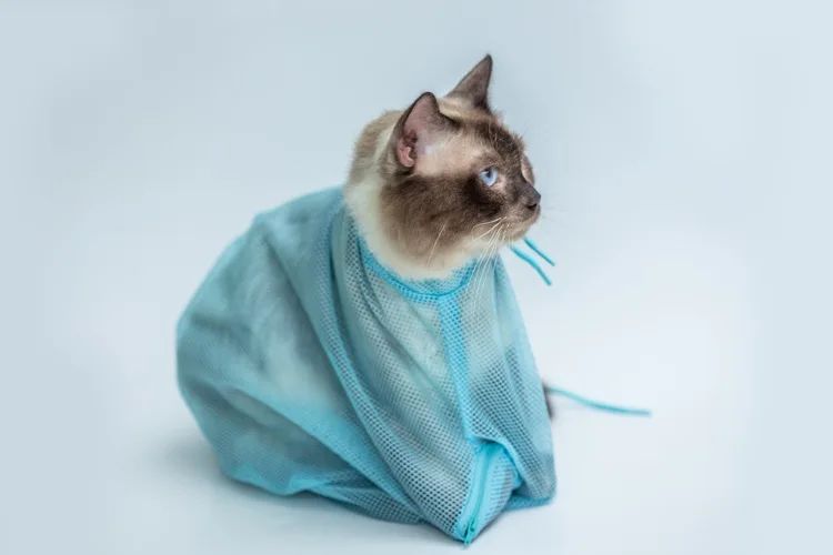 Mesh Cat Grooming Bath Restraint Bag