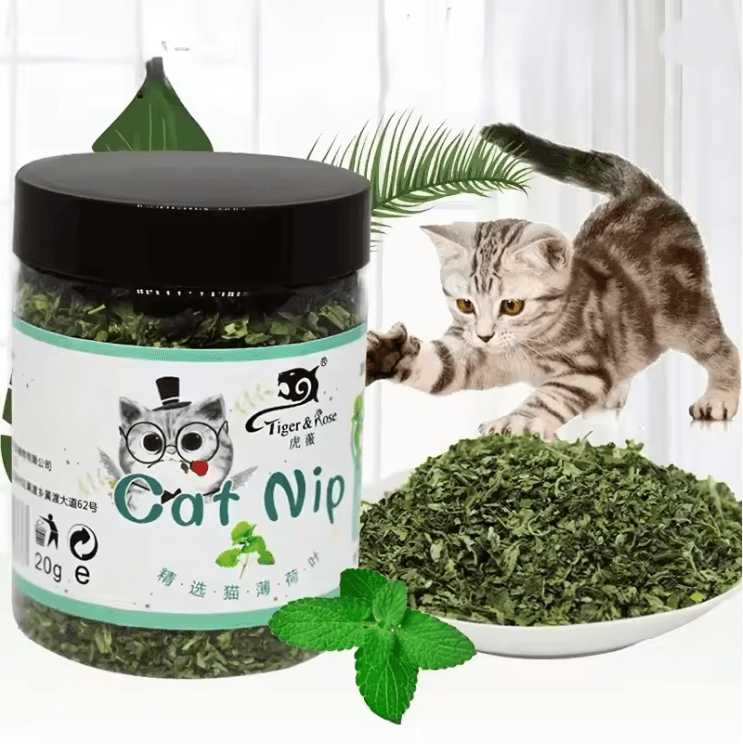 PurePlay Organic Catnip Grass Toy