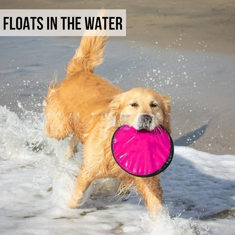 Portable Dog Training Flying Disc Breathable & Easy to Clean Interactive Training Toy for Pets