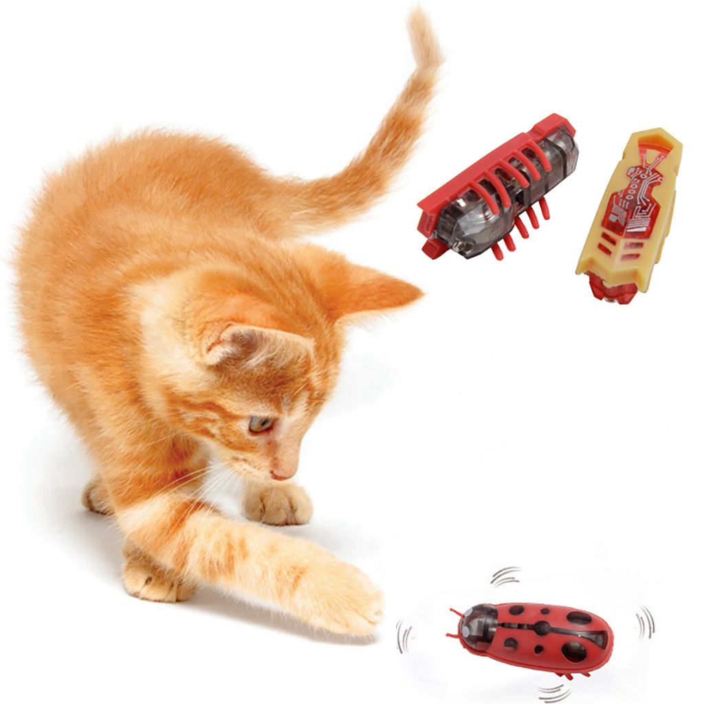 Interactive Electric Bug Cat Toy: Shake & Entertain Your Pets!