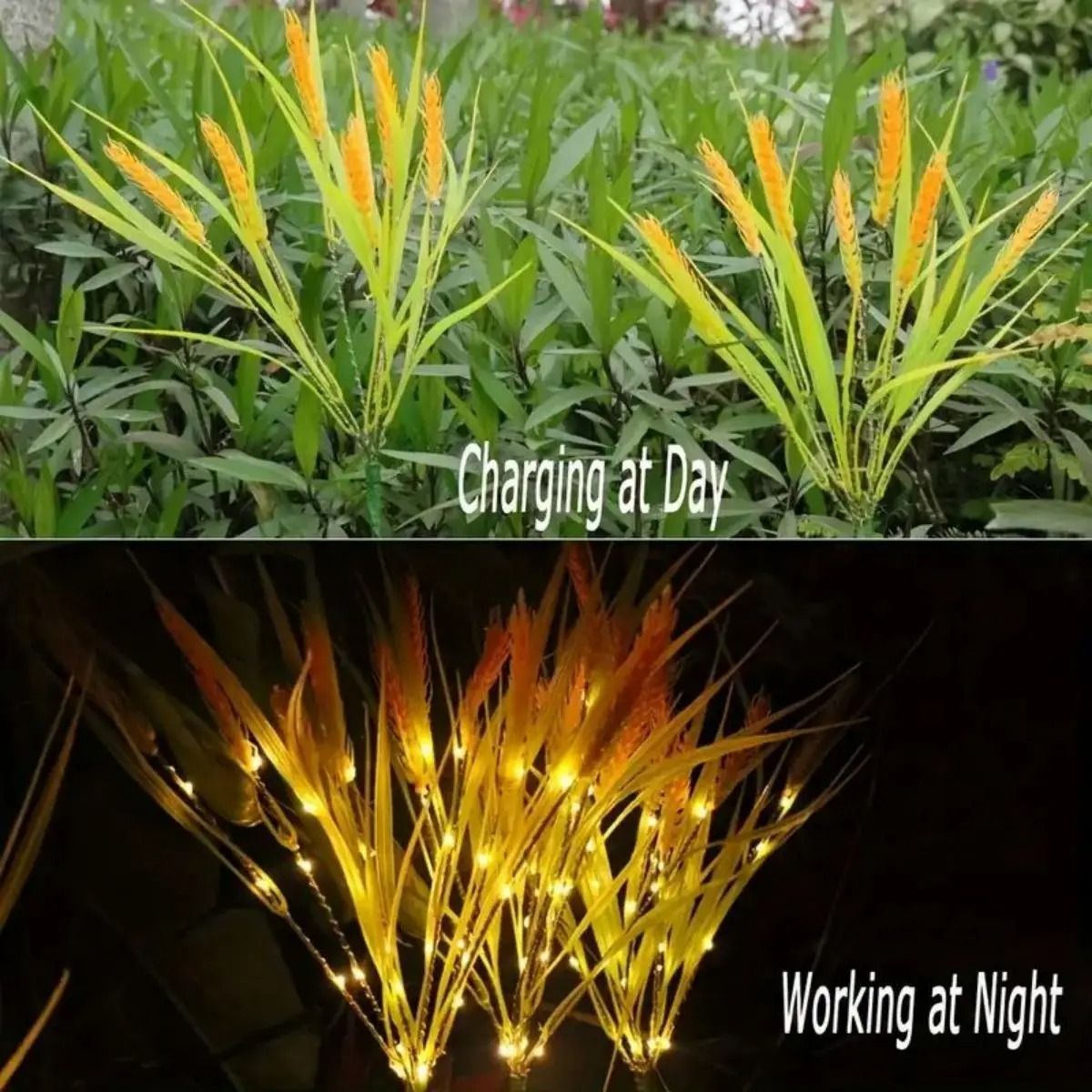 Vibrant Autumn Wheat Solar Pathway Lights
