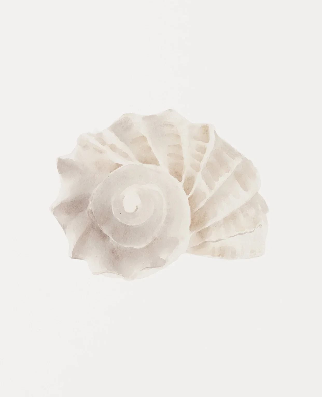 Coastal Wall Art Sea Shell Prints Starfish Canvas Art Beach Themed Decor Set