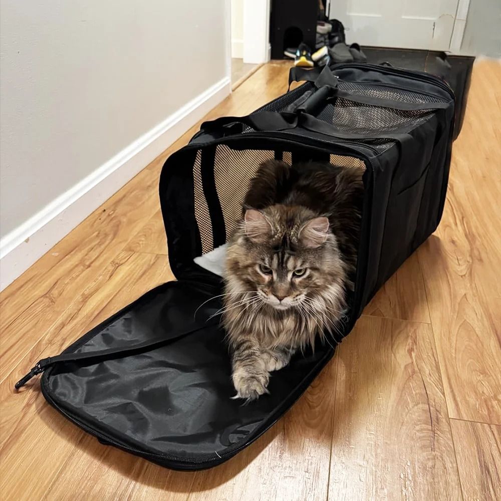 Foldable Waterproof Travel Pet Carrier