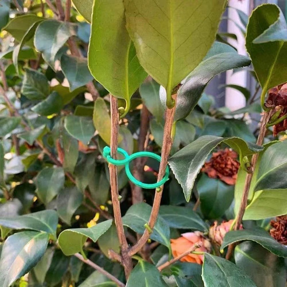 Figure Eight Plant Clips Plastic Garden Vine Ties for Trellis Support and Stem Fixing 50 or 100 Pack