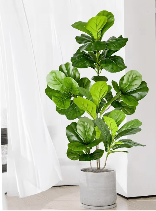 EverVerde Large Artificial Ficus Tree