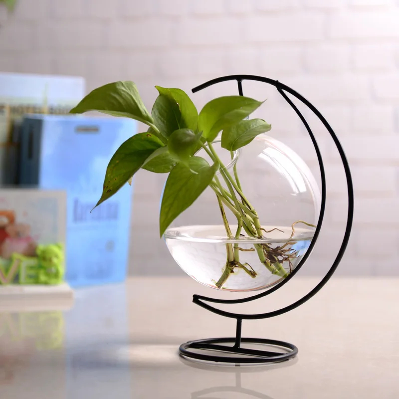 Suspended Transparent Hanging Glass Fish Tank Infusion Bottle Aquarium