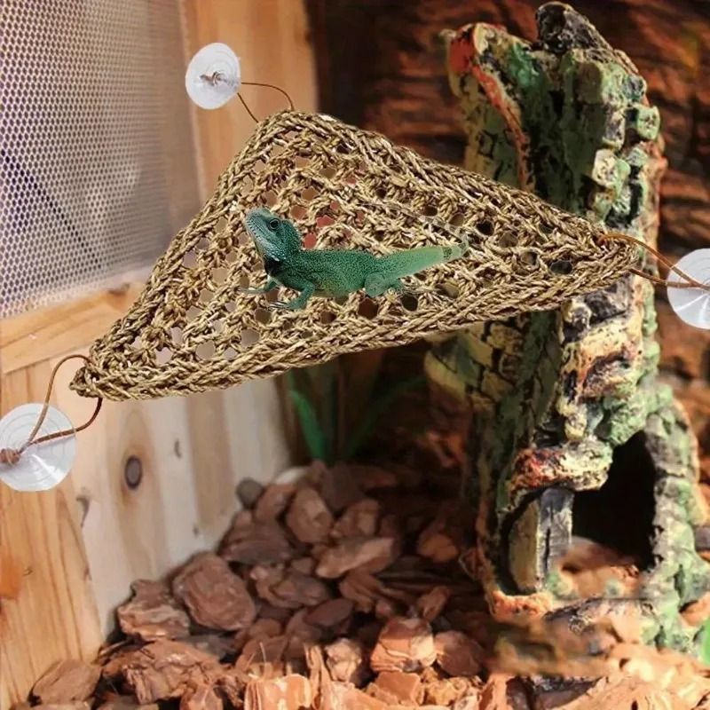 Natural Woven Seaweed Reptile Hammock Swing