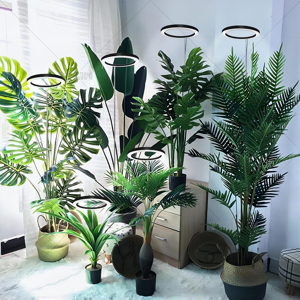 Indoor Plants Full Spectrum, Height Adjustable LED Ring Grow Lights, Large Plant Light for Indoor Plants, Growing Lamp